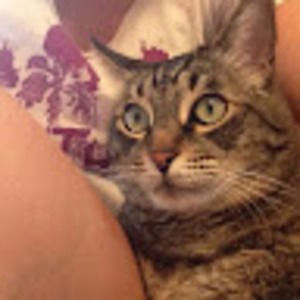 Meet your Posher, Bridgette